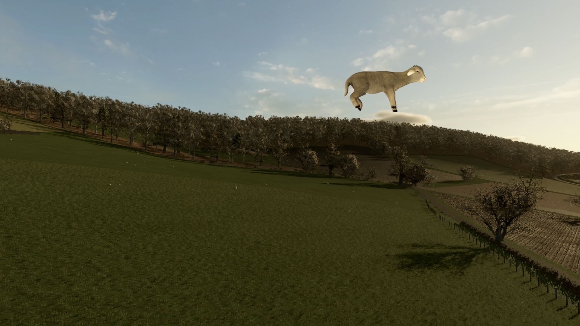 Animal Ground Placement Fix