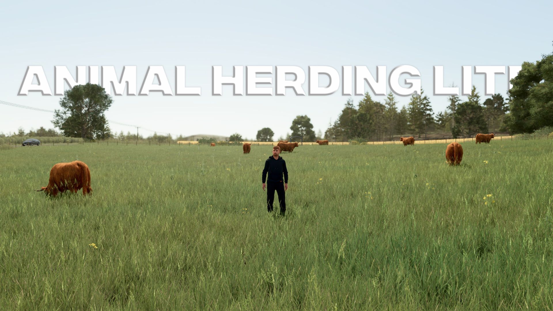 Animal Herding Lite
