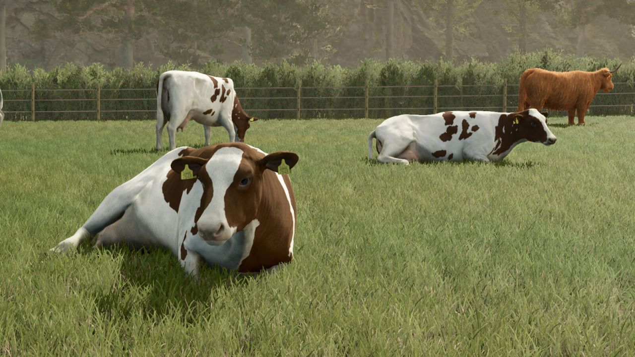 Dierenpakket Vanille Editie