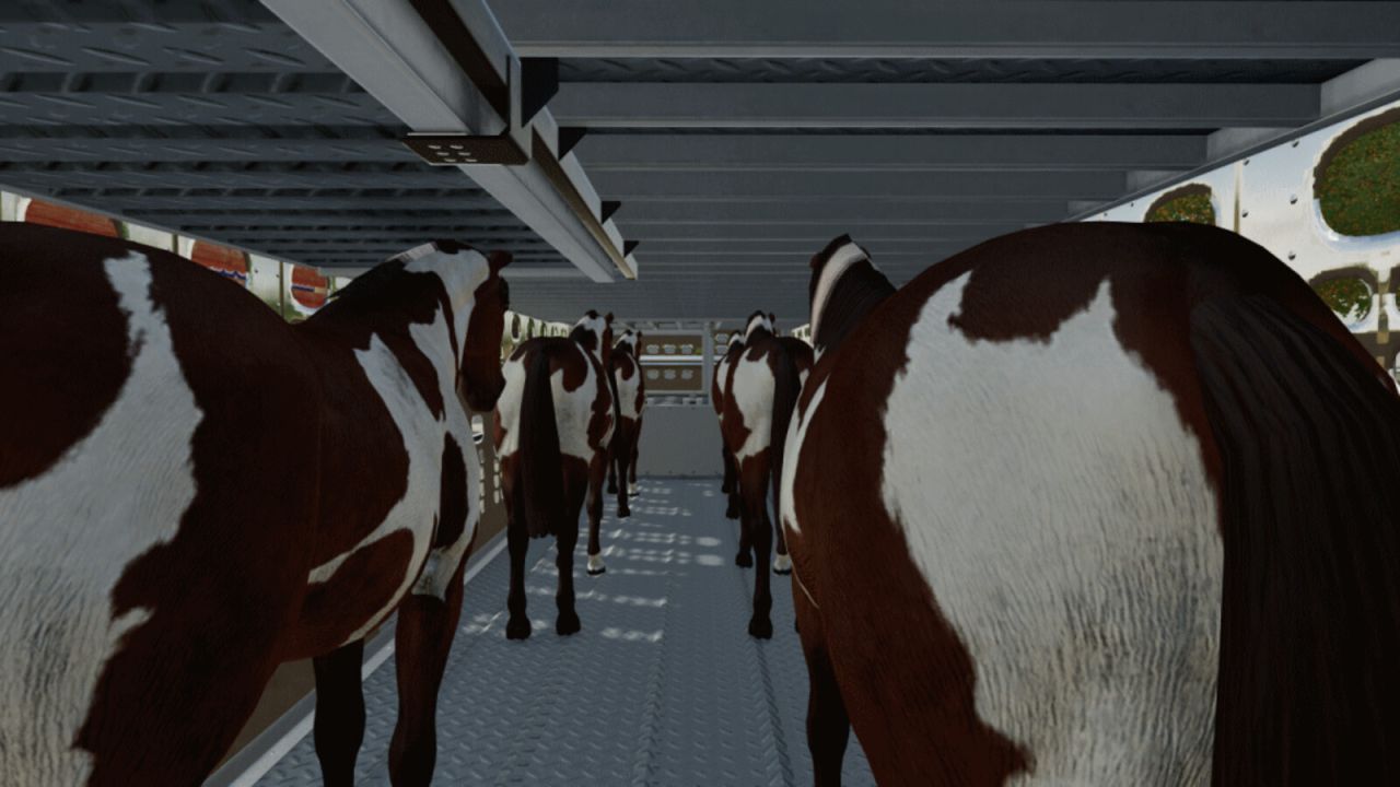 Pack Remorque De Transport D'Animaux