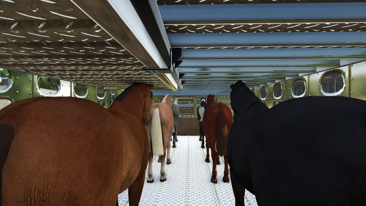 Pack Remorque De Transport D'Animaux
