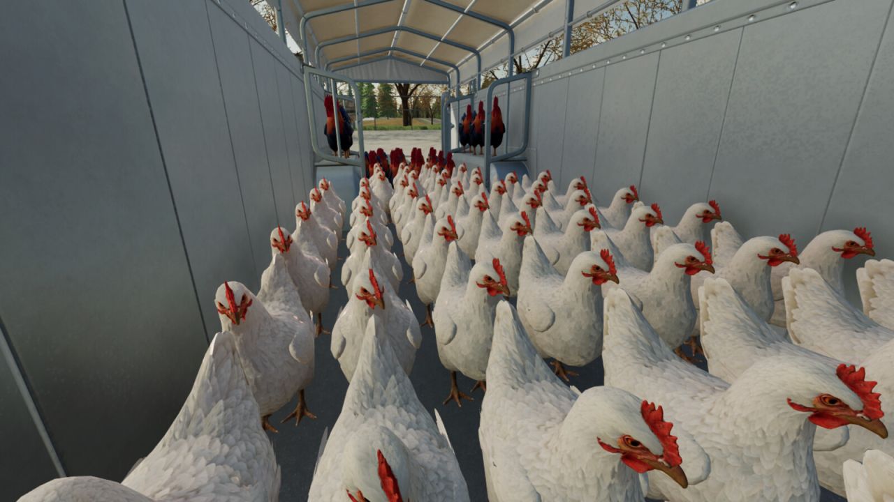 Pack Remorque De Transport D'Animaux