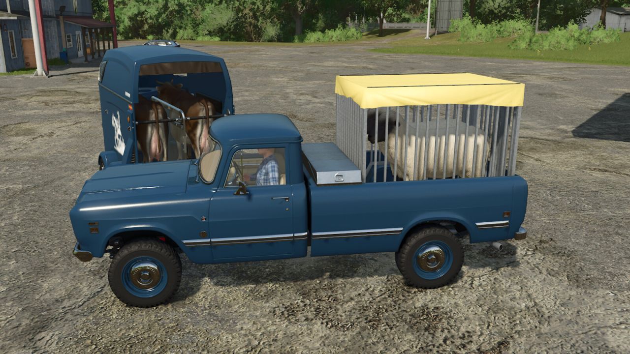 Animal Transports