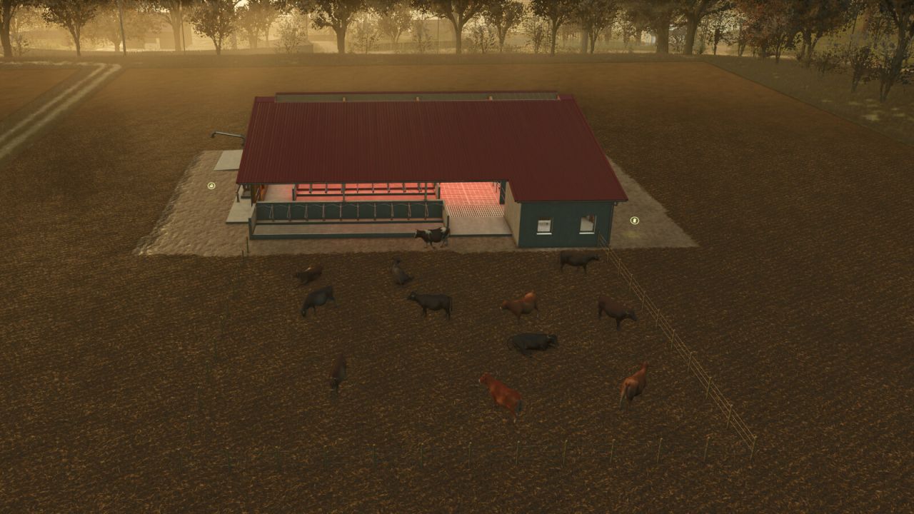 Animals Display