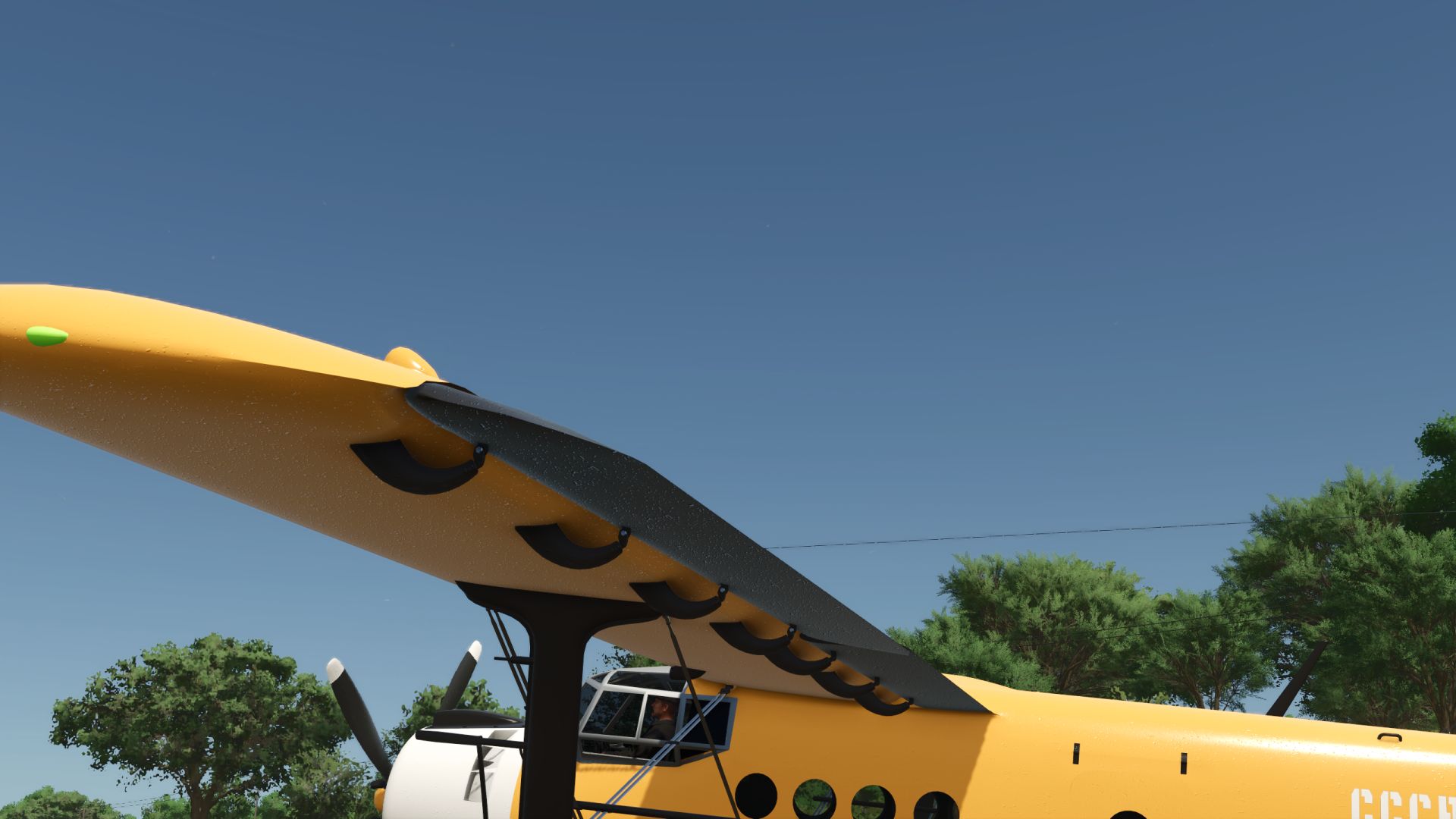 Antonov An-2 Agrarspritze