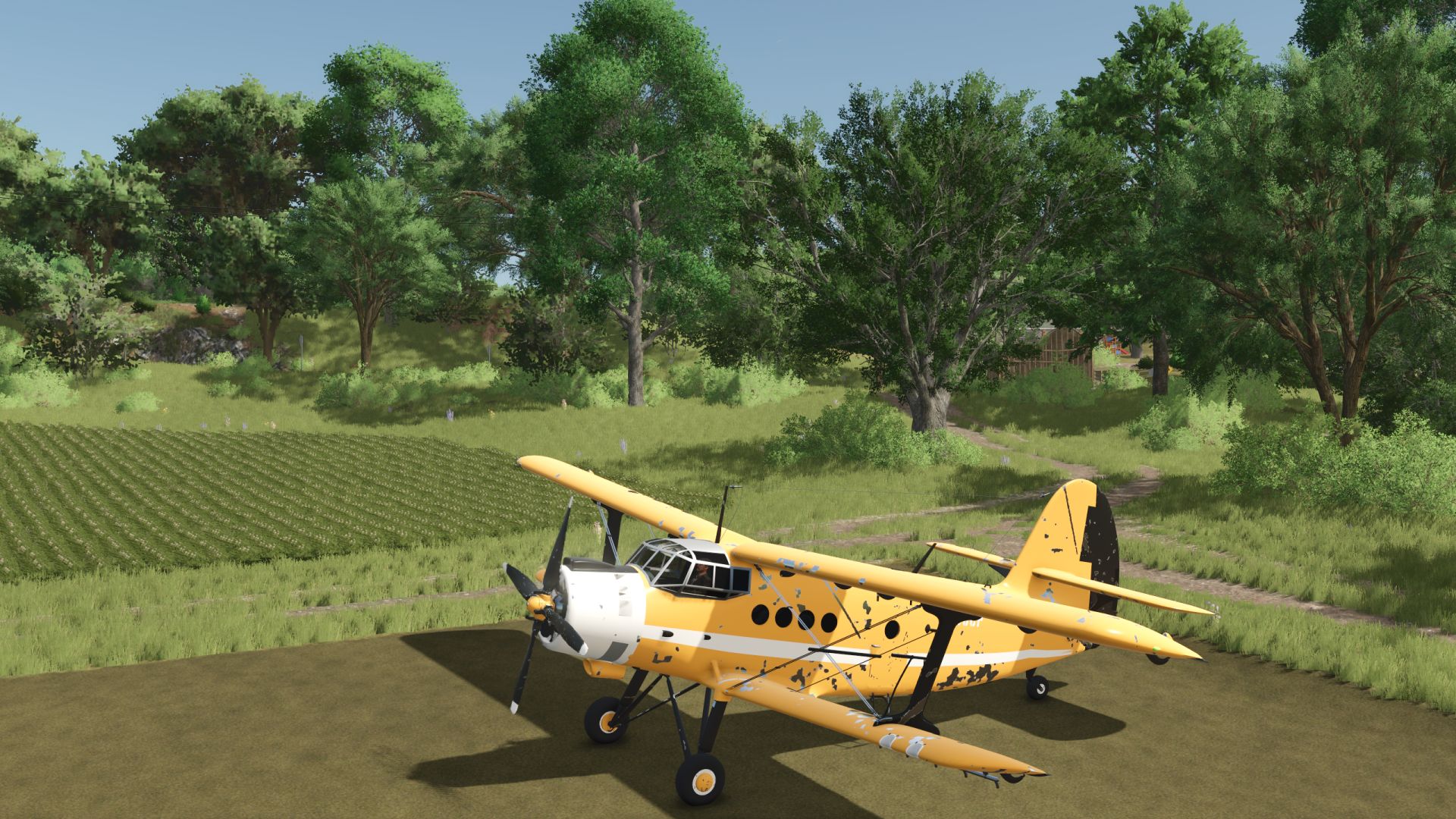 Antonov An-2 Agrarspritze