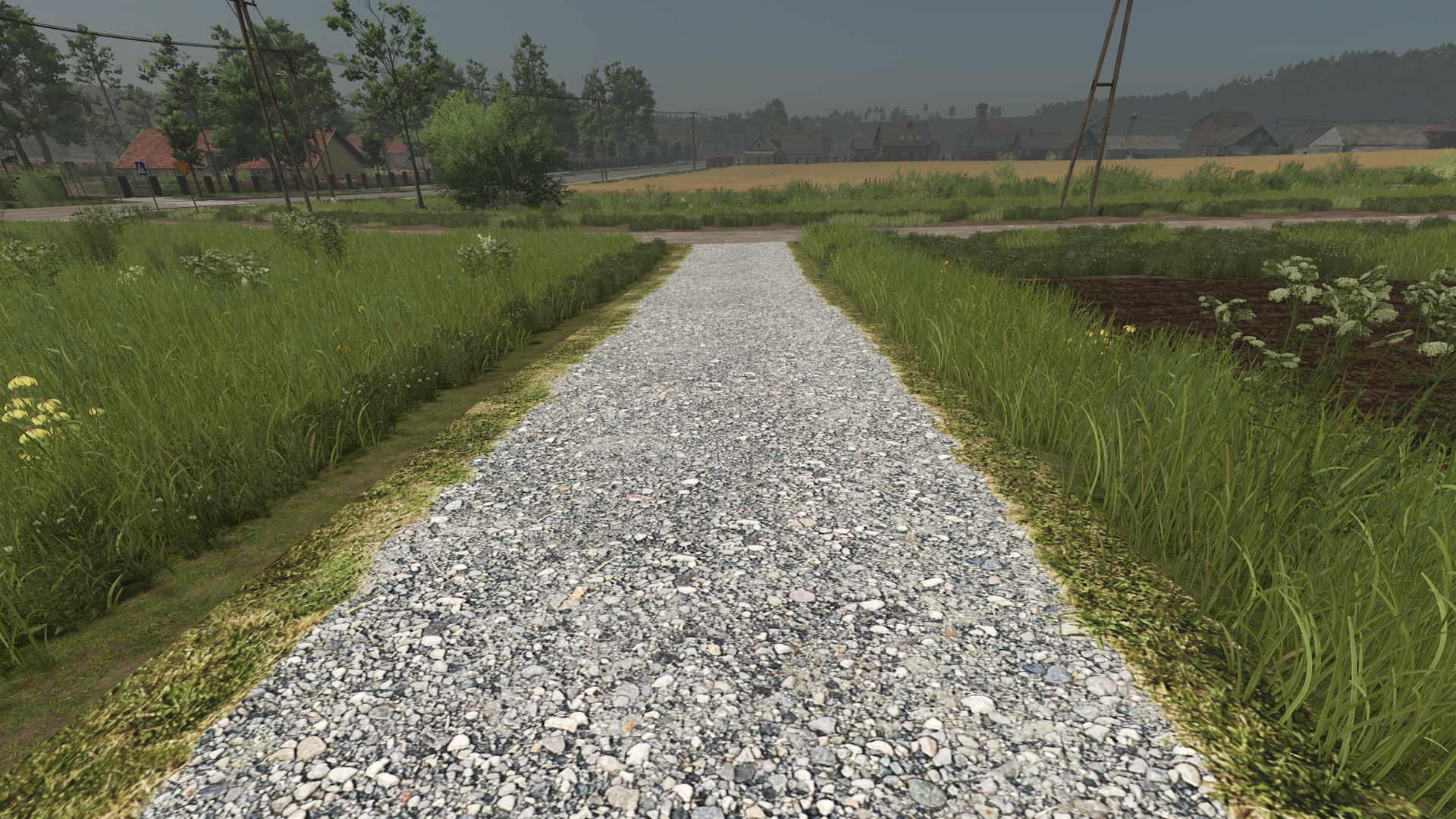 Asphalt and Paved Roads