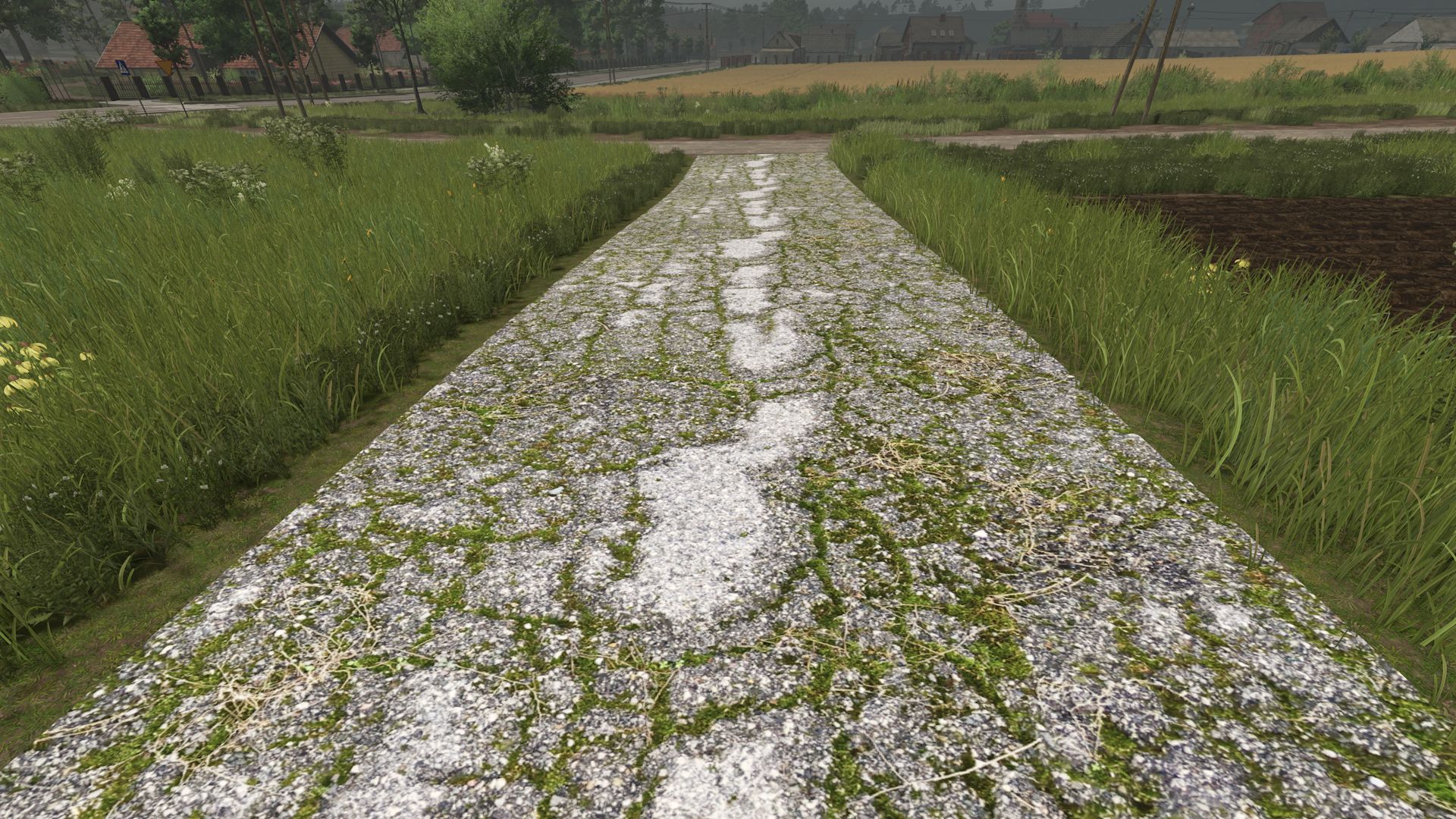 Asphalt and Paved Roads