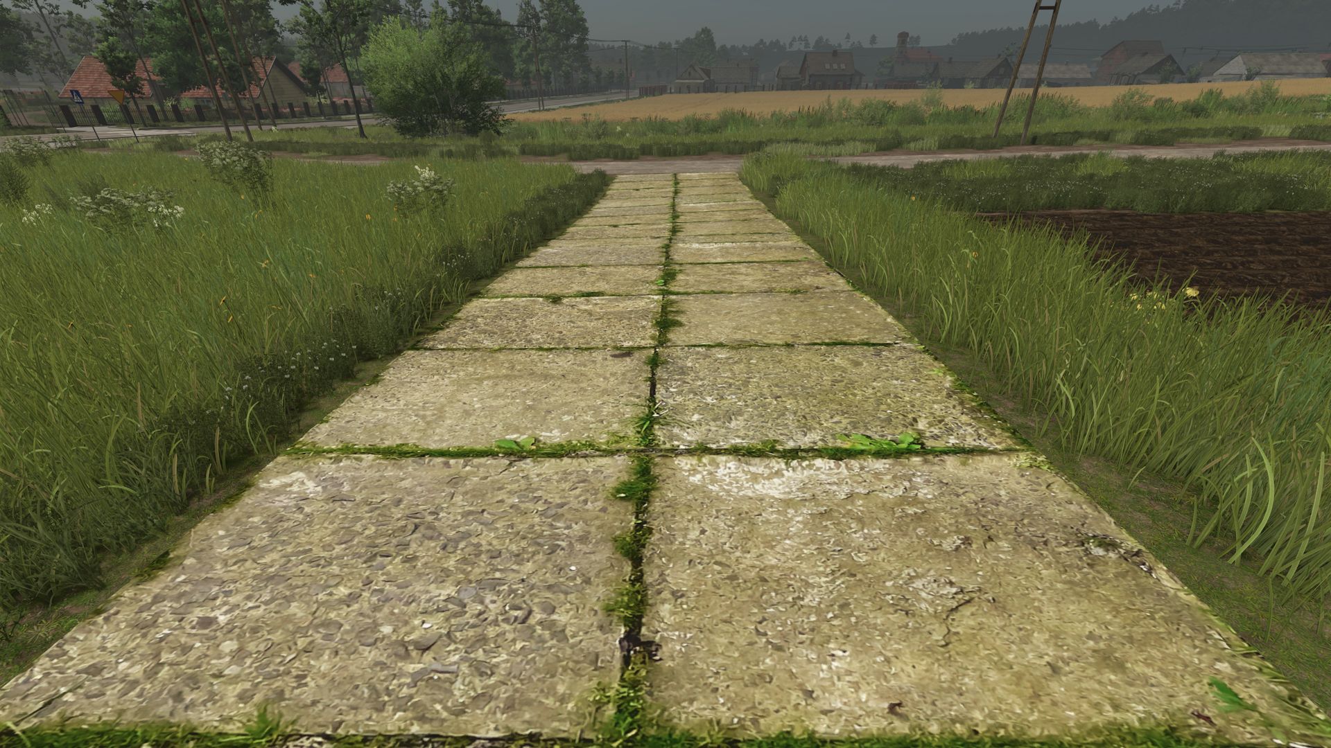 Asphalt and Paved Roads