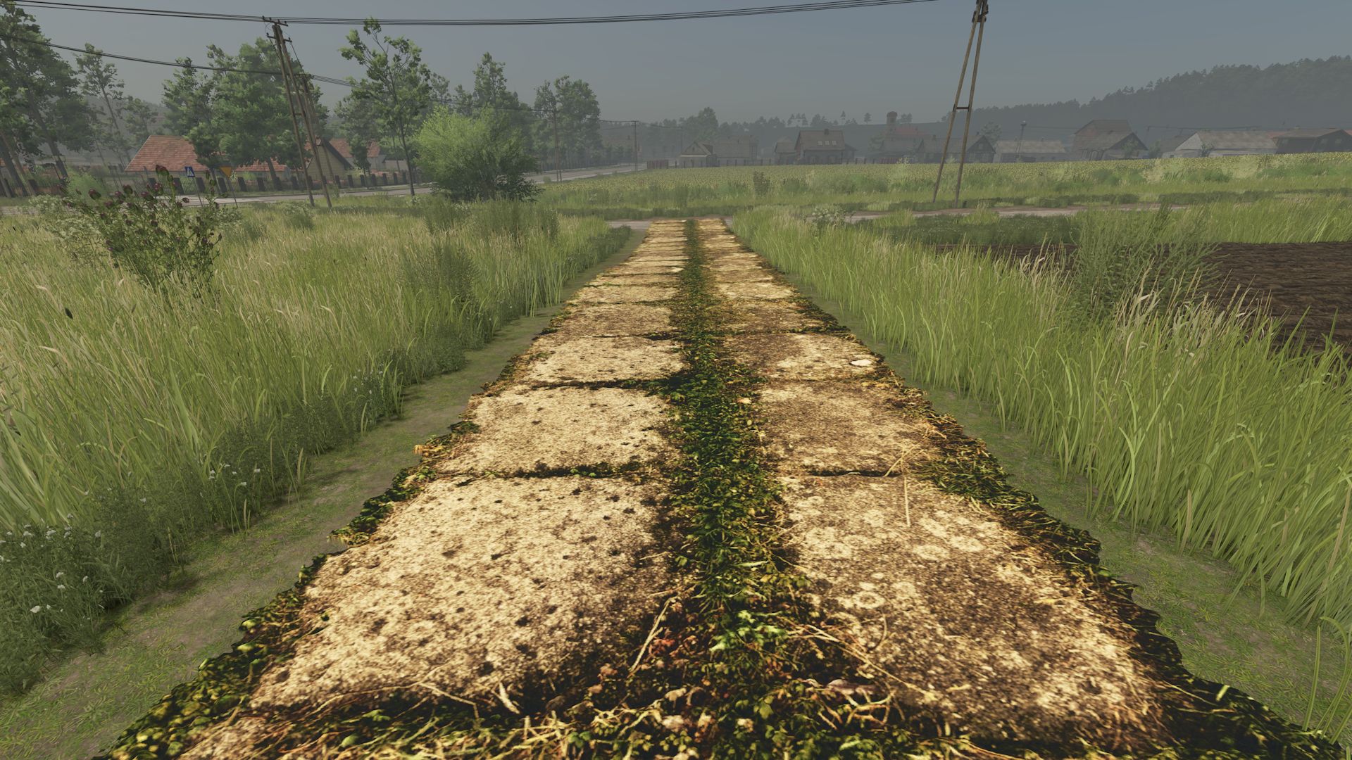 Asphalt and Paved Roads