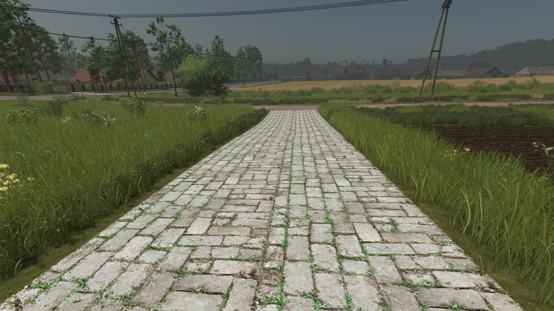 Asfalt ve Kaplamalı Yollar