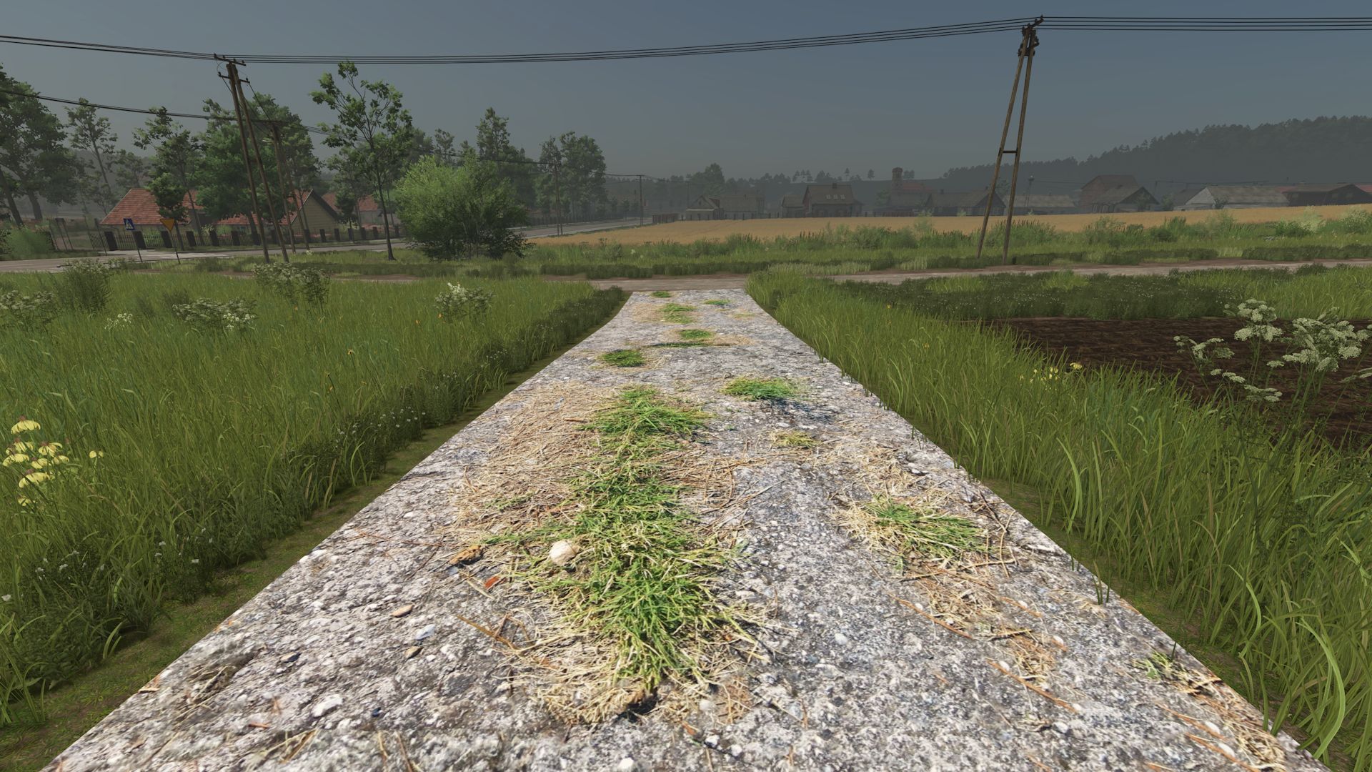 Asphalt and Paved Roads