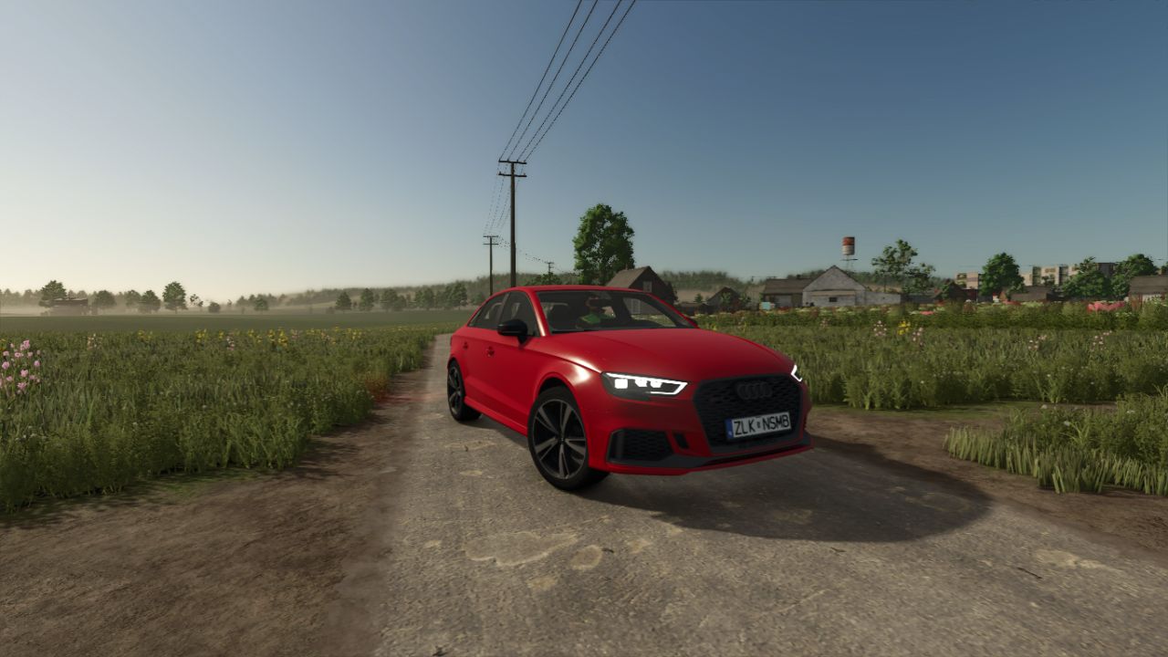 Audi RS3 2020