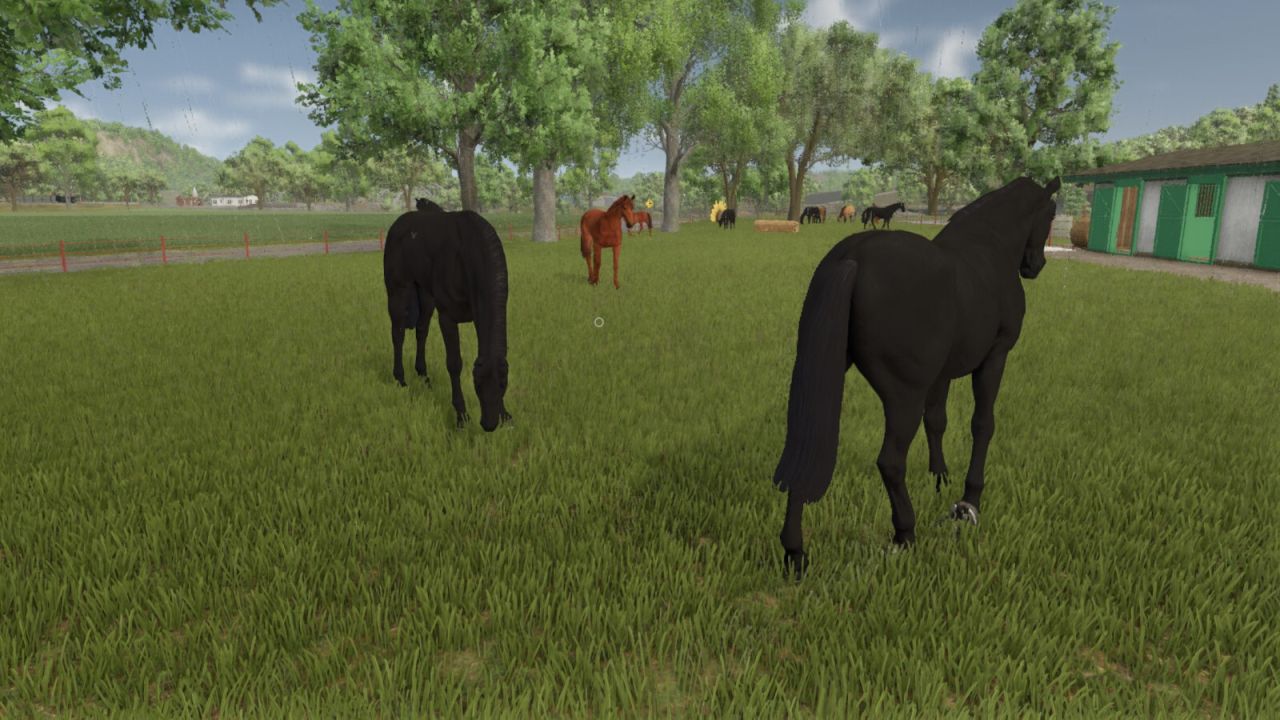Cuidado de caballos automáticos