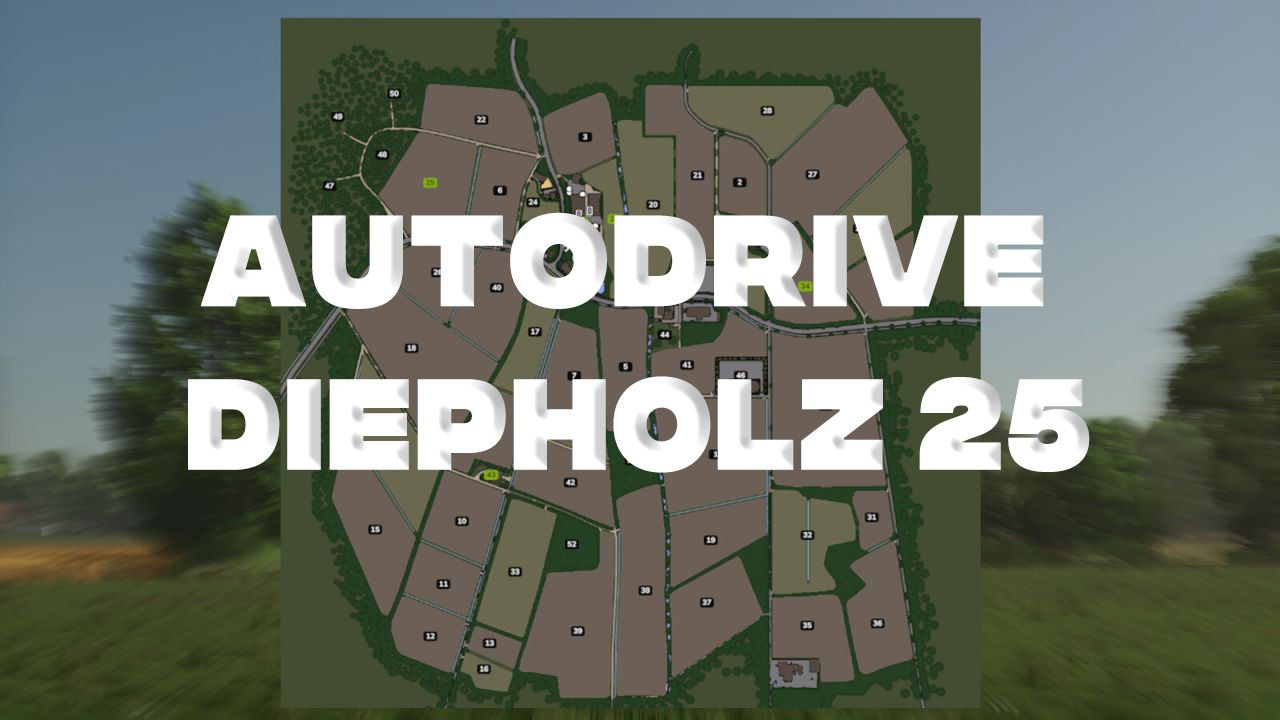 Autodrive Diepholz 25