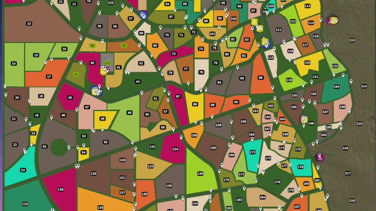 Autodrive Frechdachs