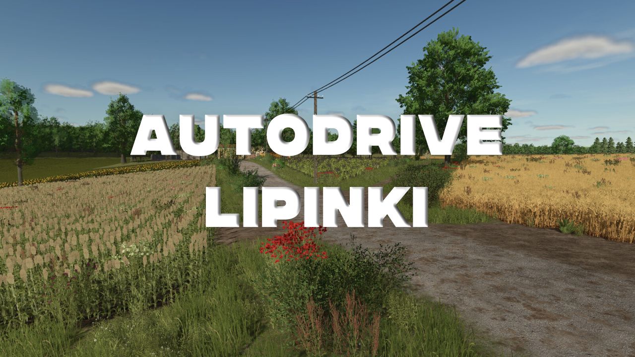 AutoDrive Lipinki