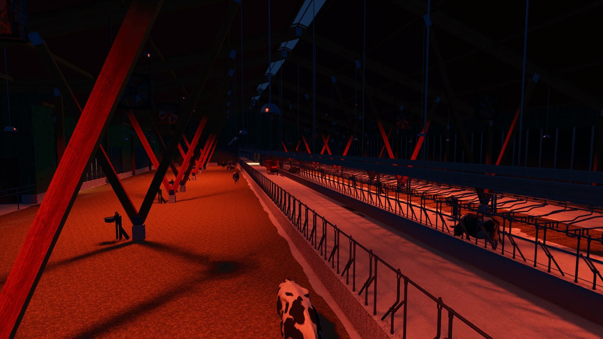 Geautomatiseerde melkveehouderij 700