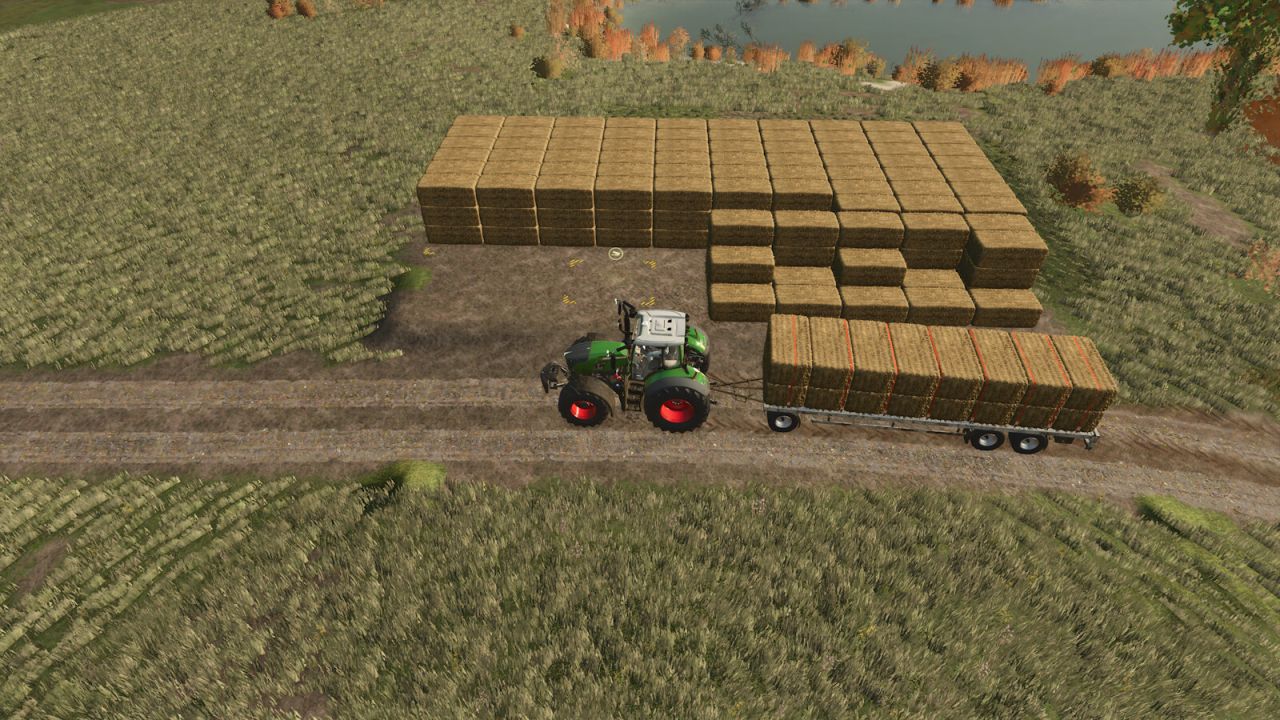 Almacenamiento automático de pacas
