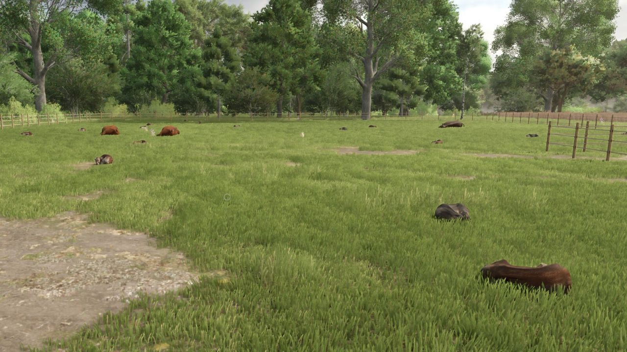 Automatische drinkbak