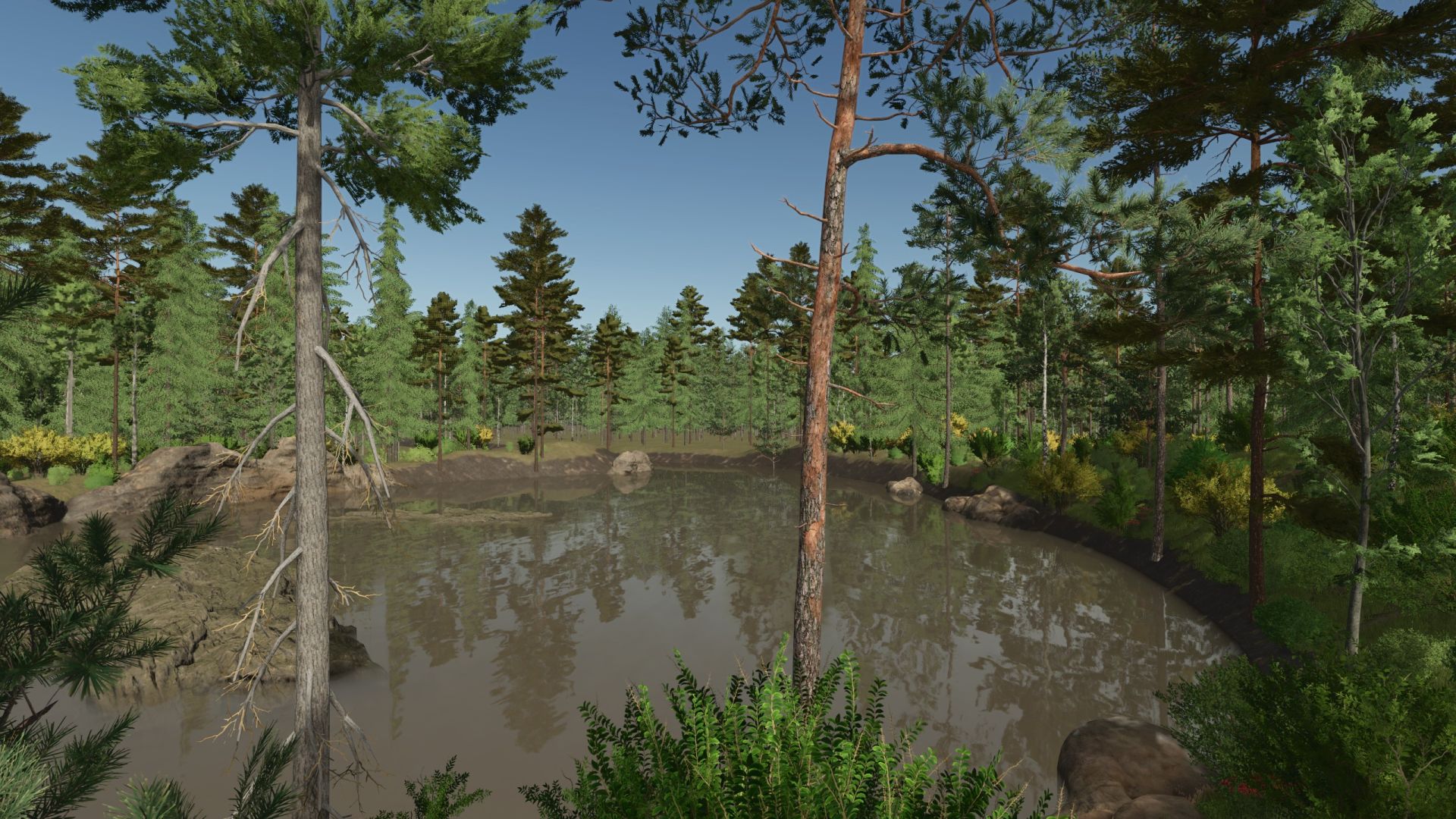 Back Roads County Forestry Edition 4x