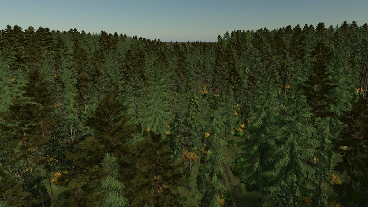 Back Roads County Forestry Edition 4x