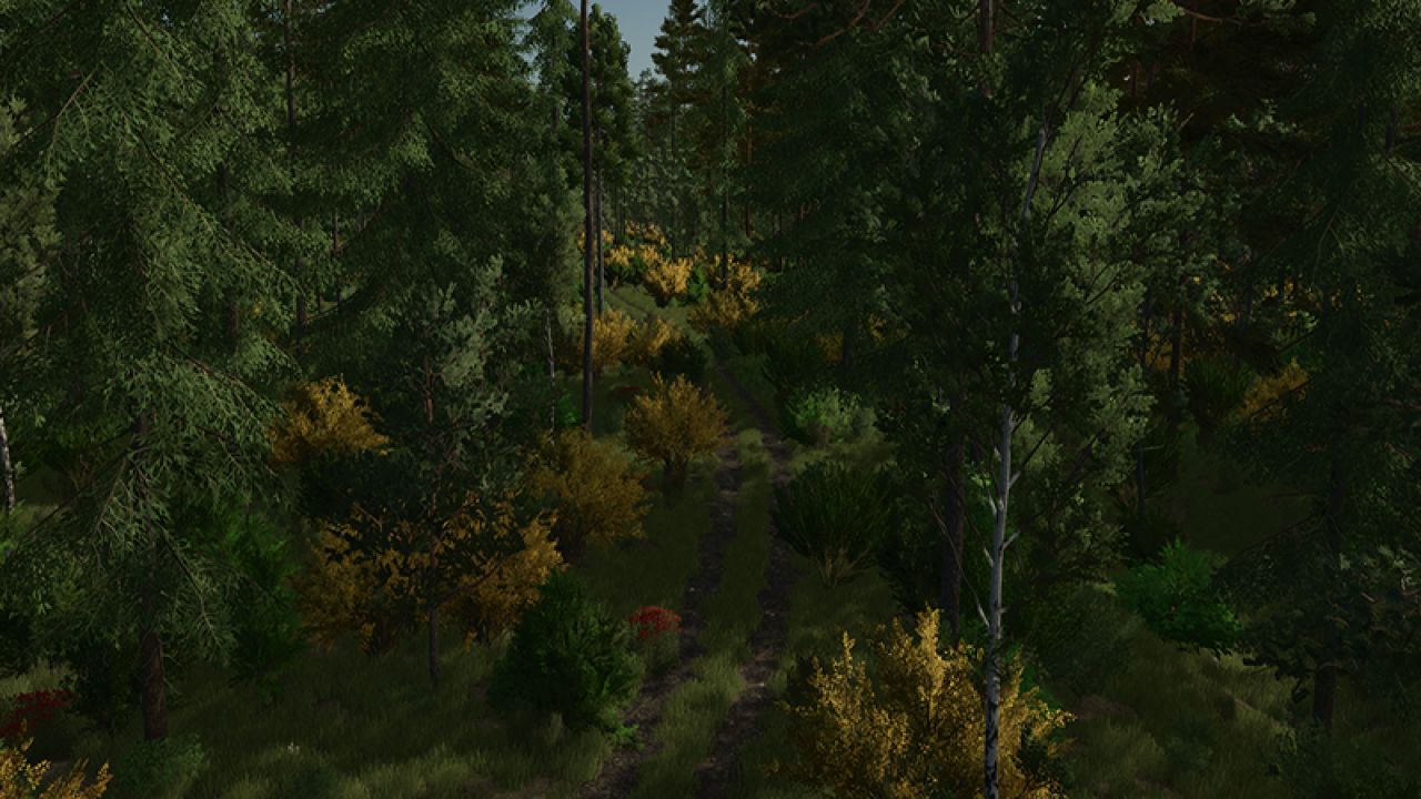 Back Roads County Forestry Edition 4x