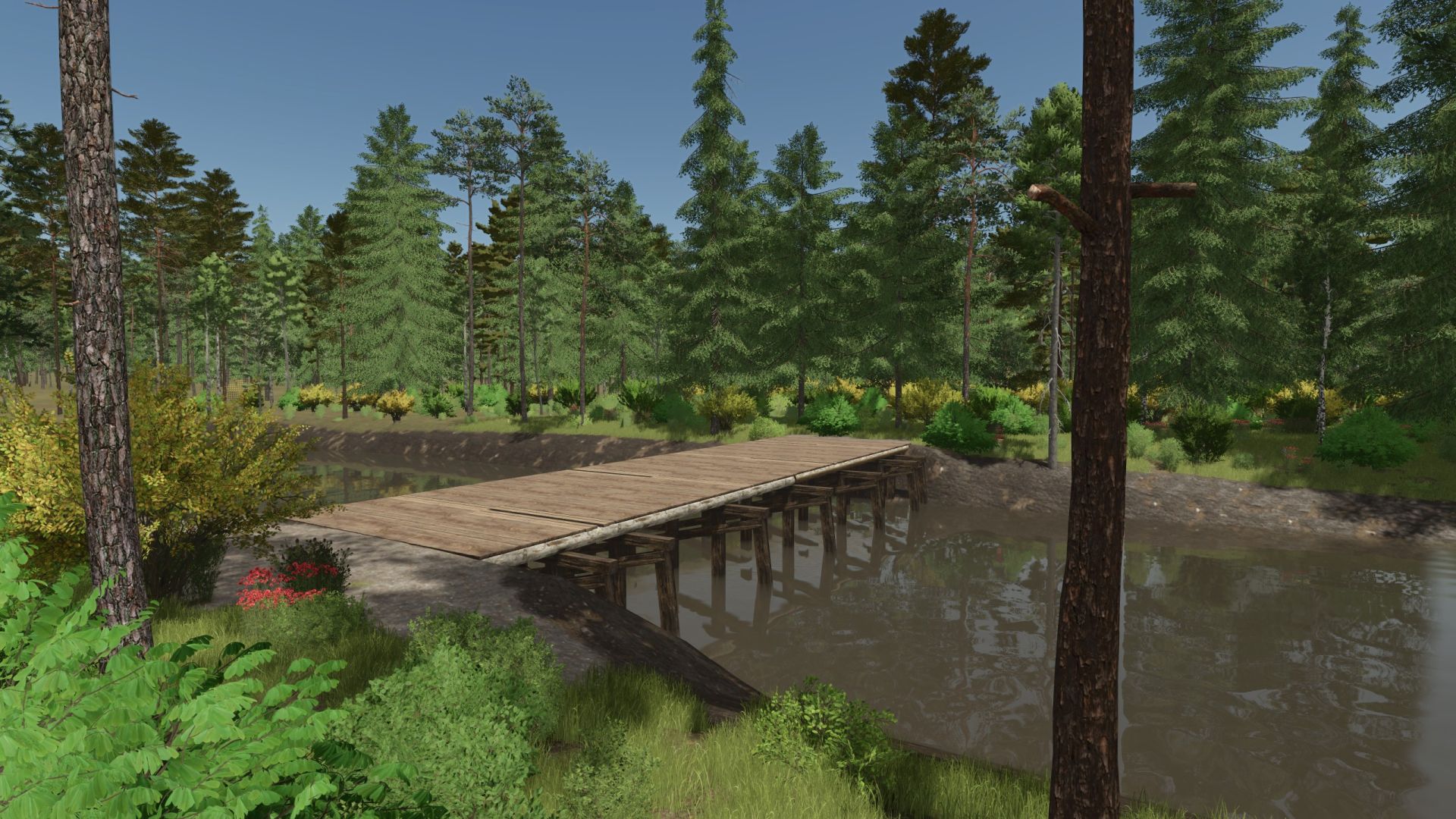 Back Roads County Forestry Edition 4x