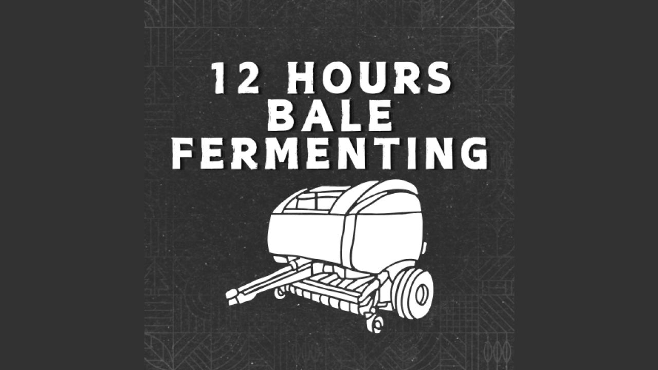 12 saat içinde balya fermantasyonu