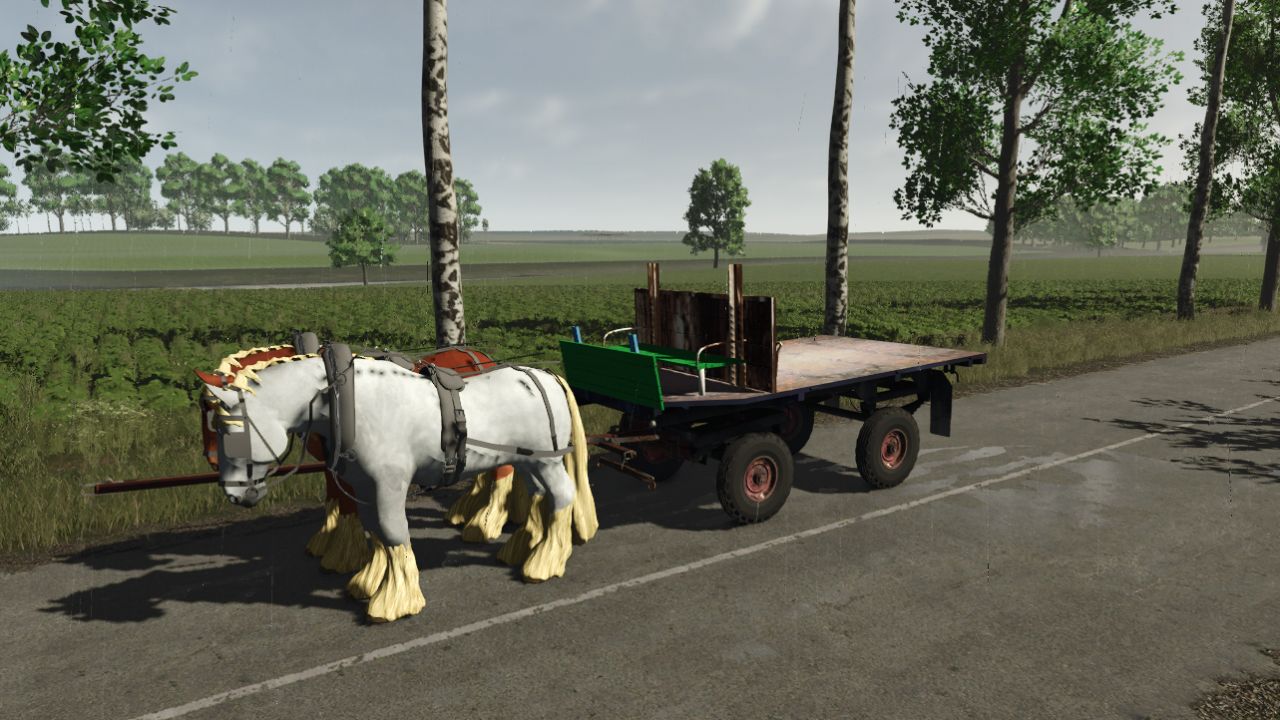 Bale horse drawn carriage