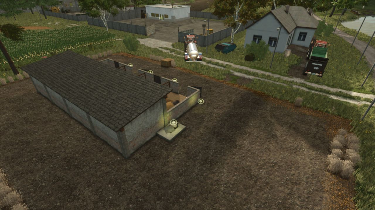 Porco dos Balcãs Crianças