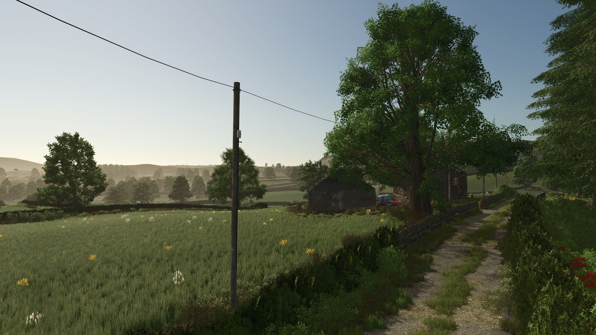 BallySpring