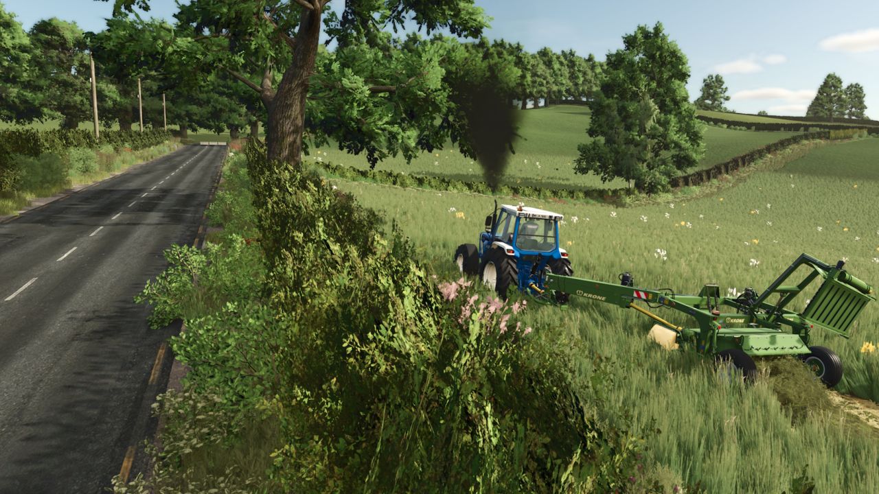 BallySpring