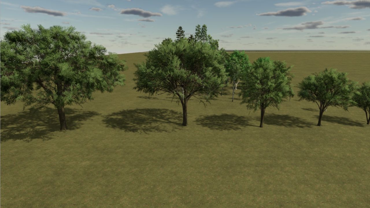 Mapa base 2X