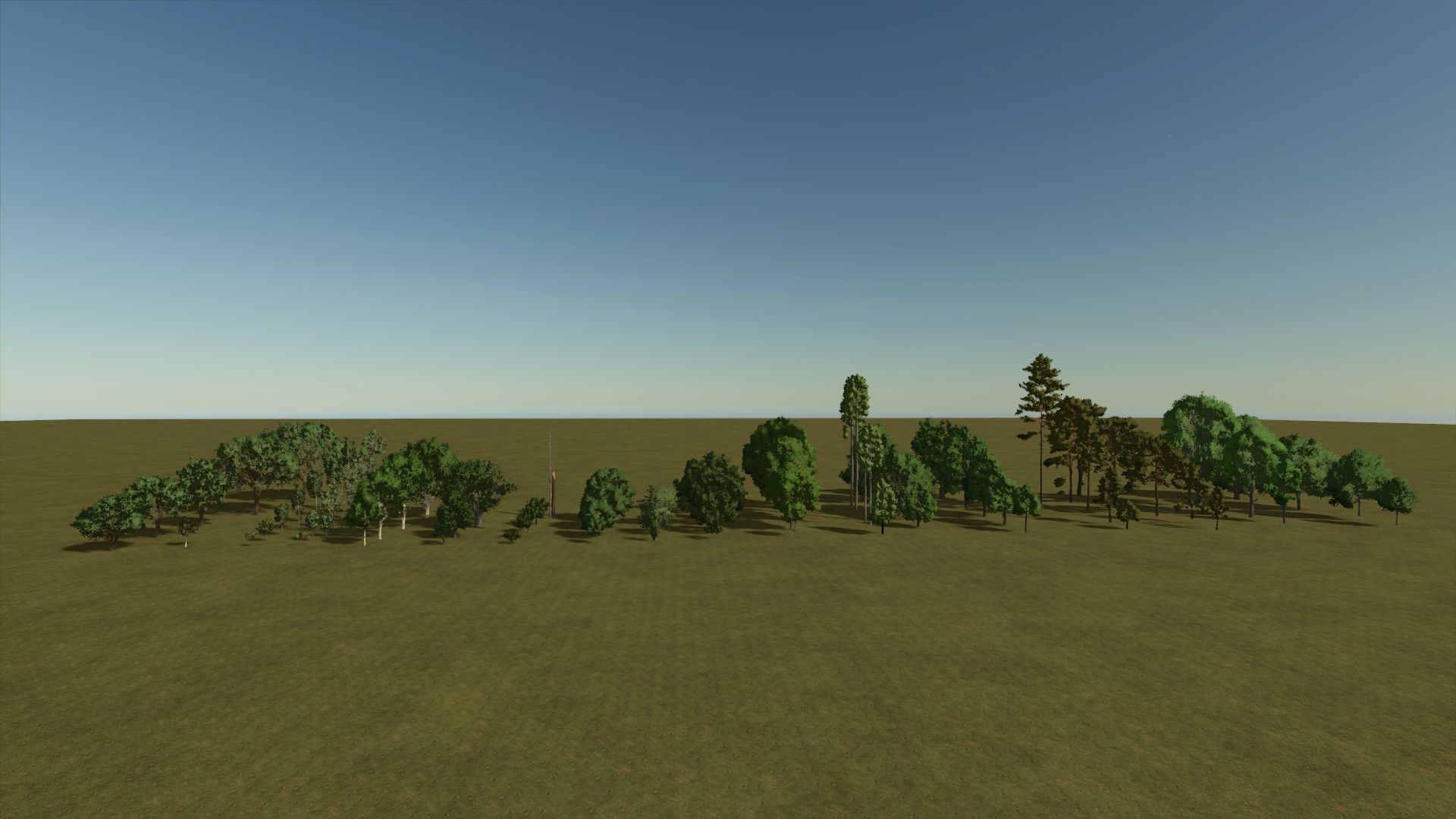 Base Tree
