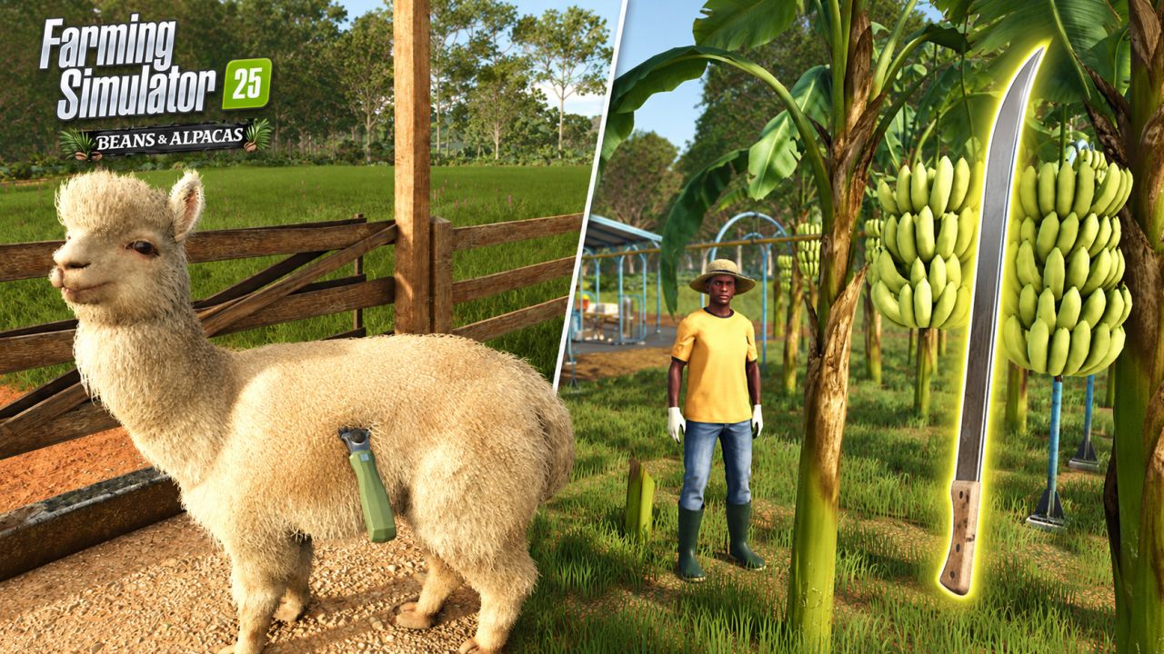 Beans & Alpacas Expansion