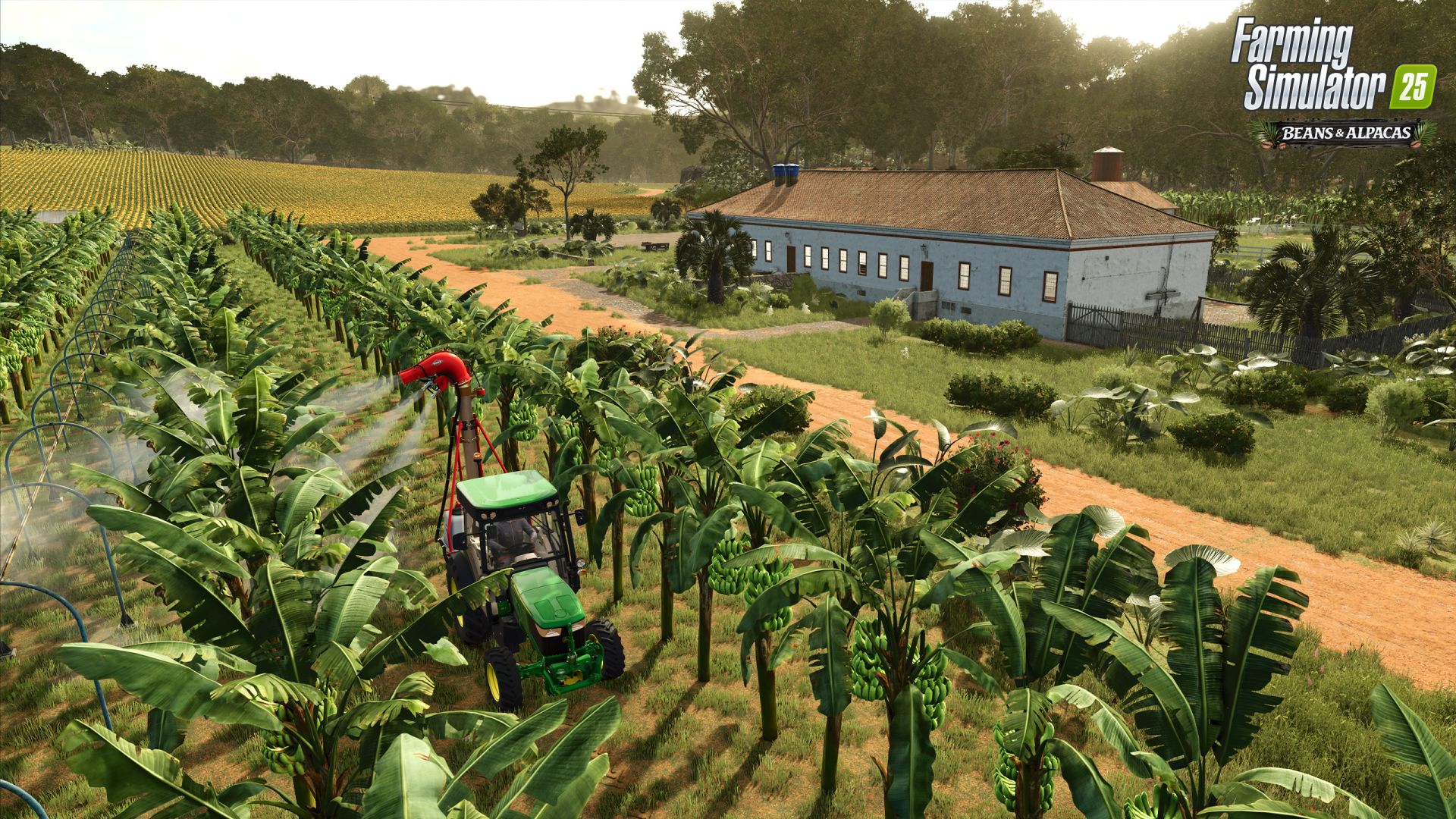 Beans & Alpacas Expansion