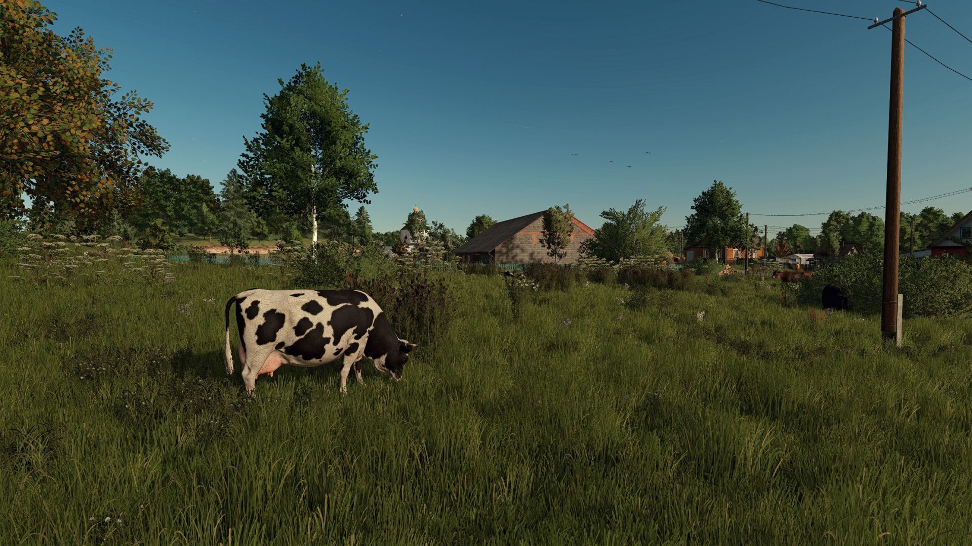 Mooie, ultraheldere shader