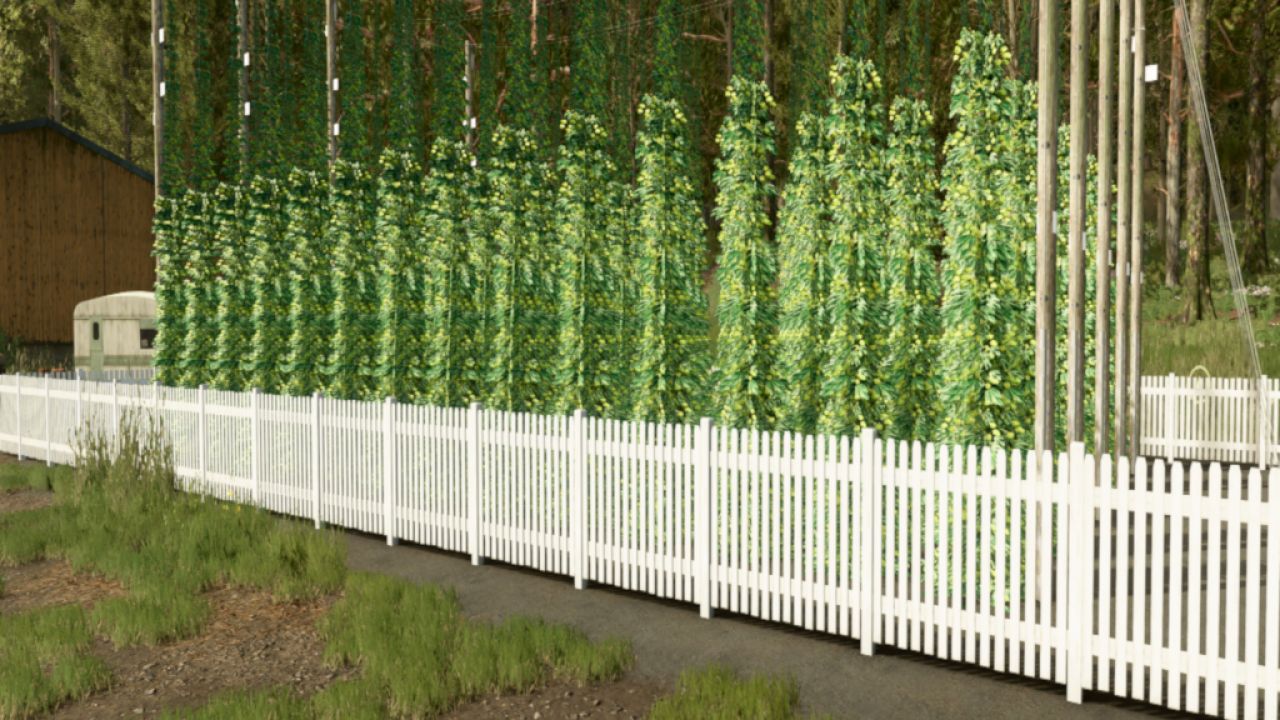 Beer production package