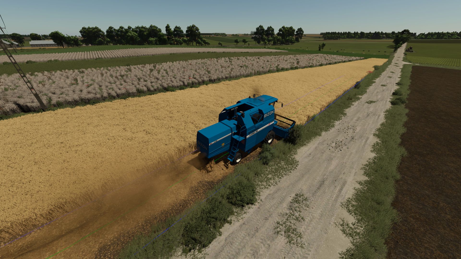Bizon Dynamic