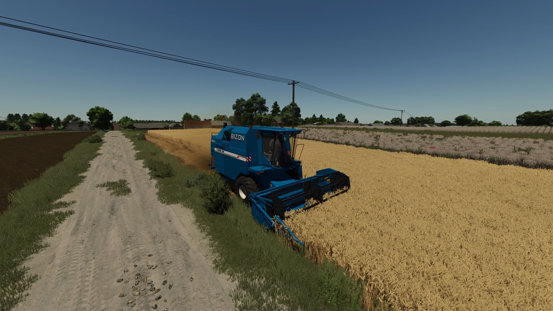 Bizon Dynamic