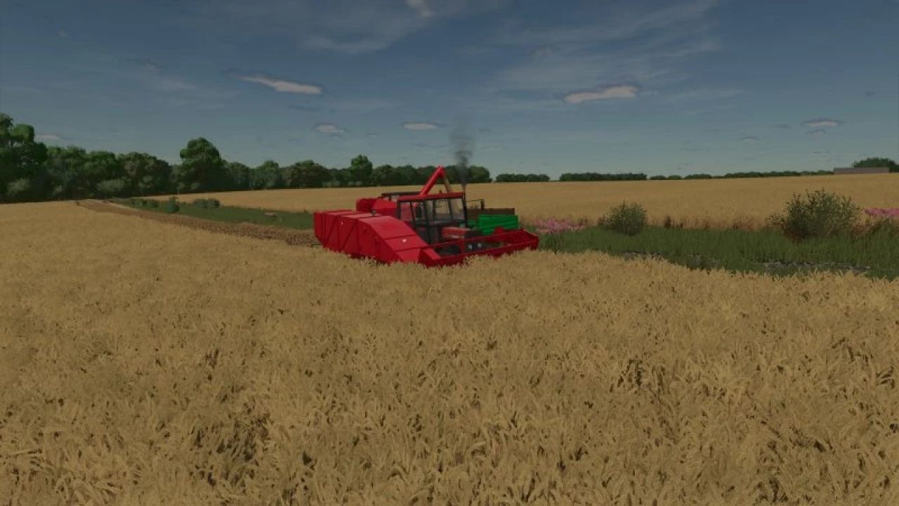 Bizon Z020