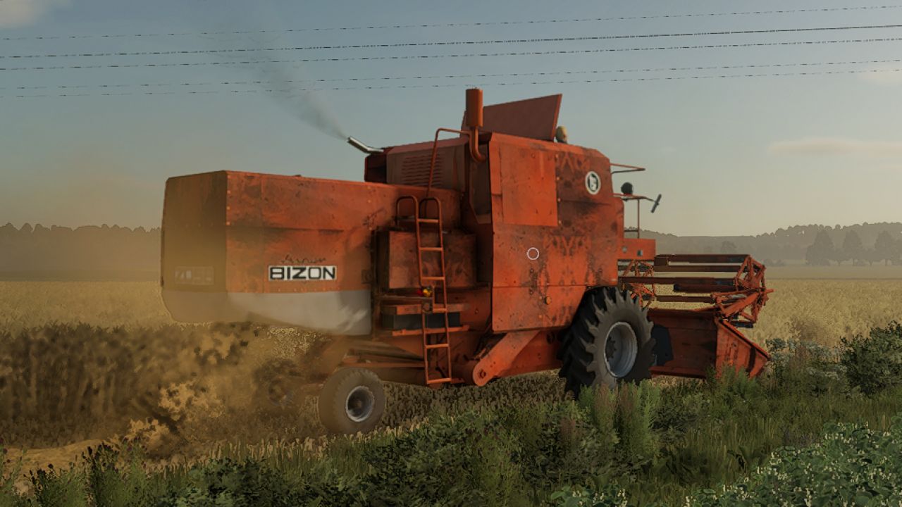 Bizon Z056 (rouillé)