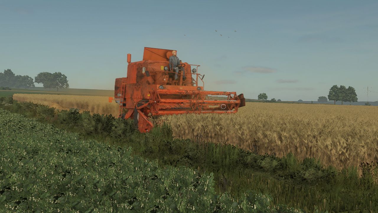 Bizon Z056 (rouillé)