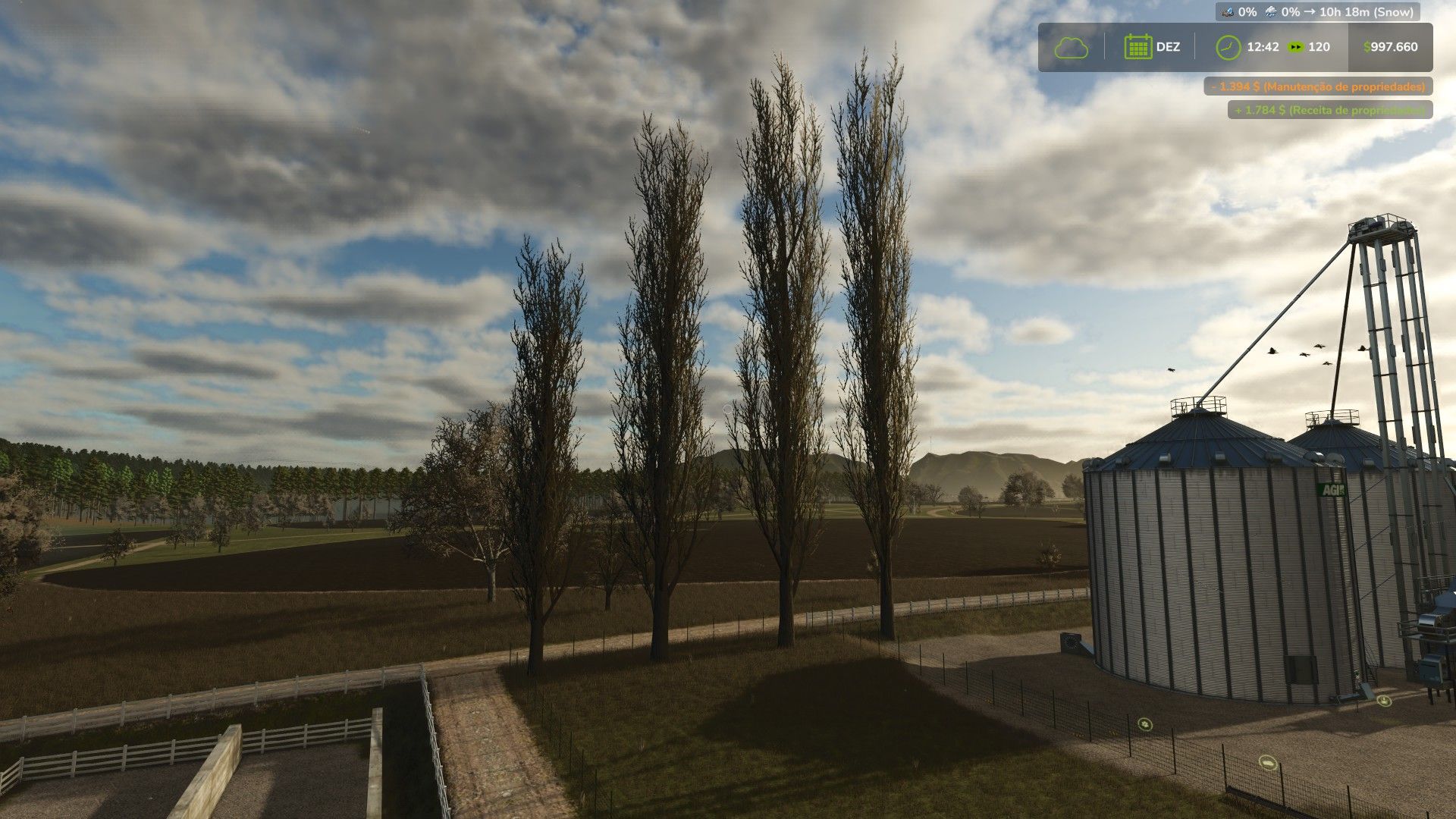 Black poplar (tree)