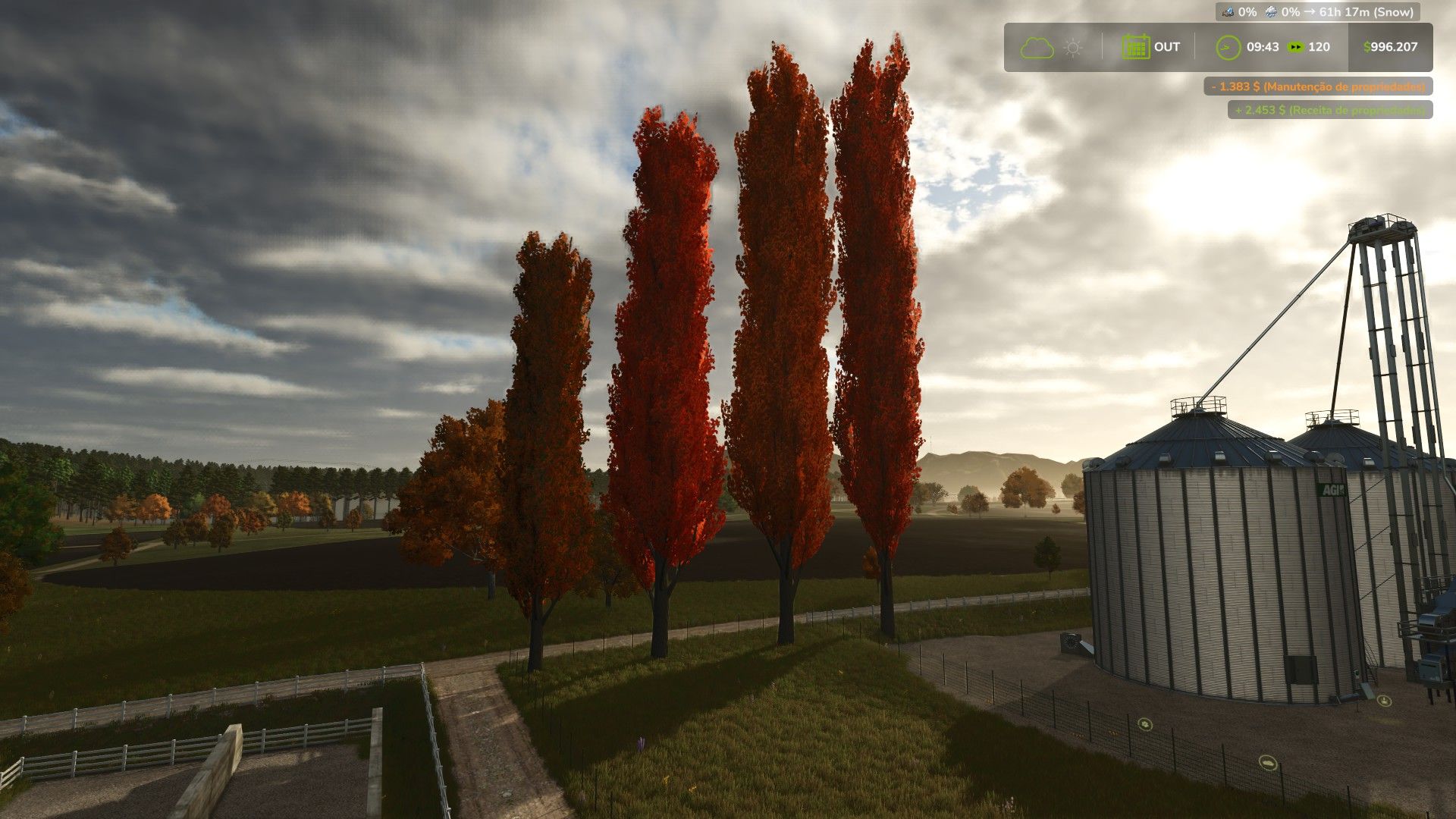 Black poplar (tree)