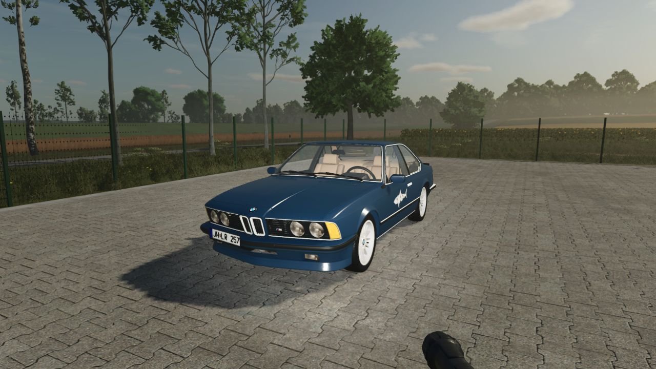 BMW E24 Shark