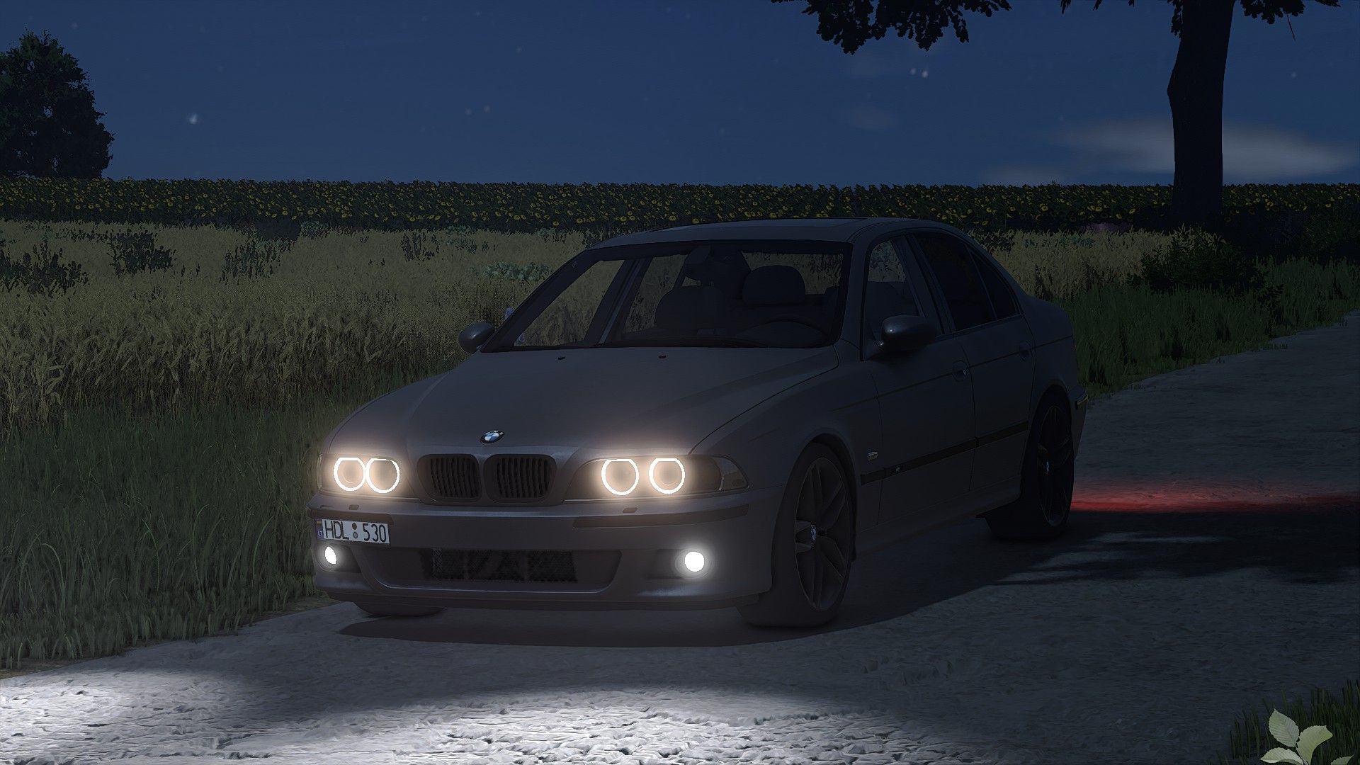 BMW E39 530D