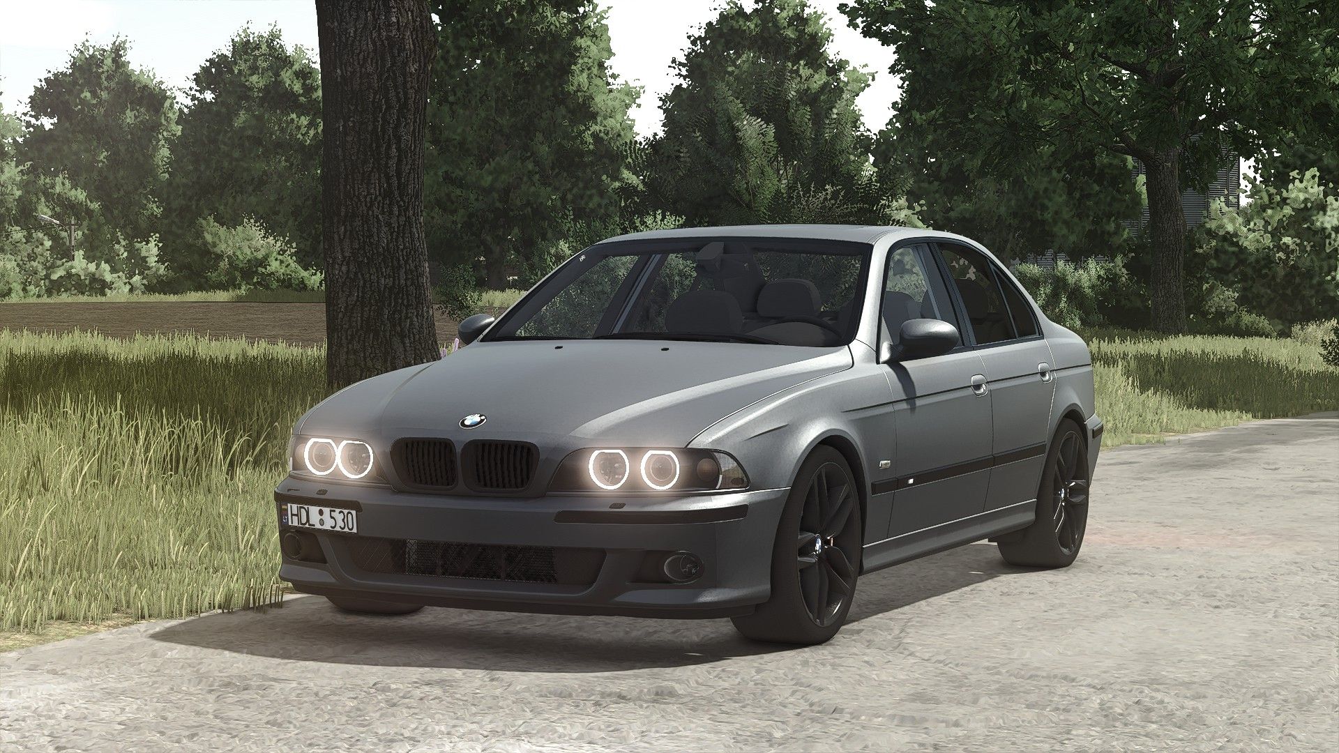 BMW E39 530D