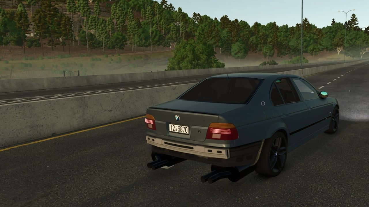 BMW E39 (ROLL)